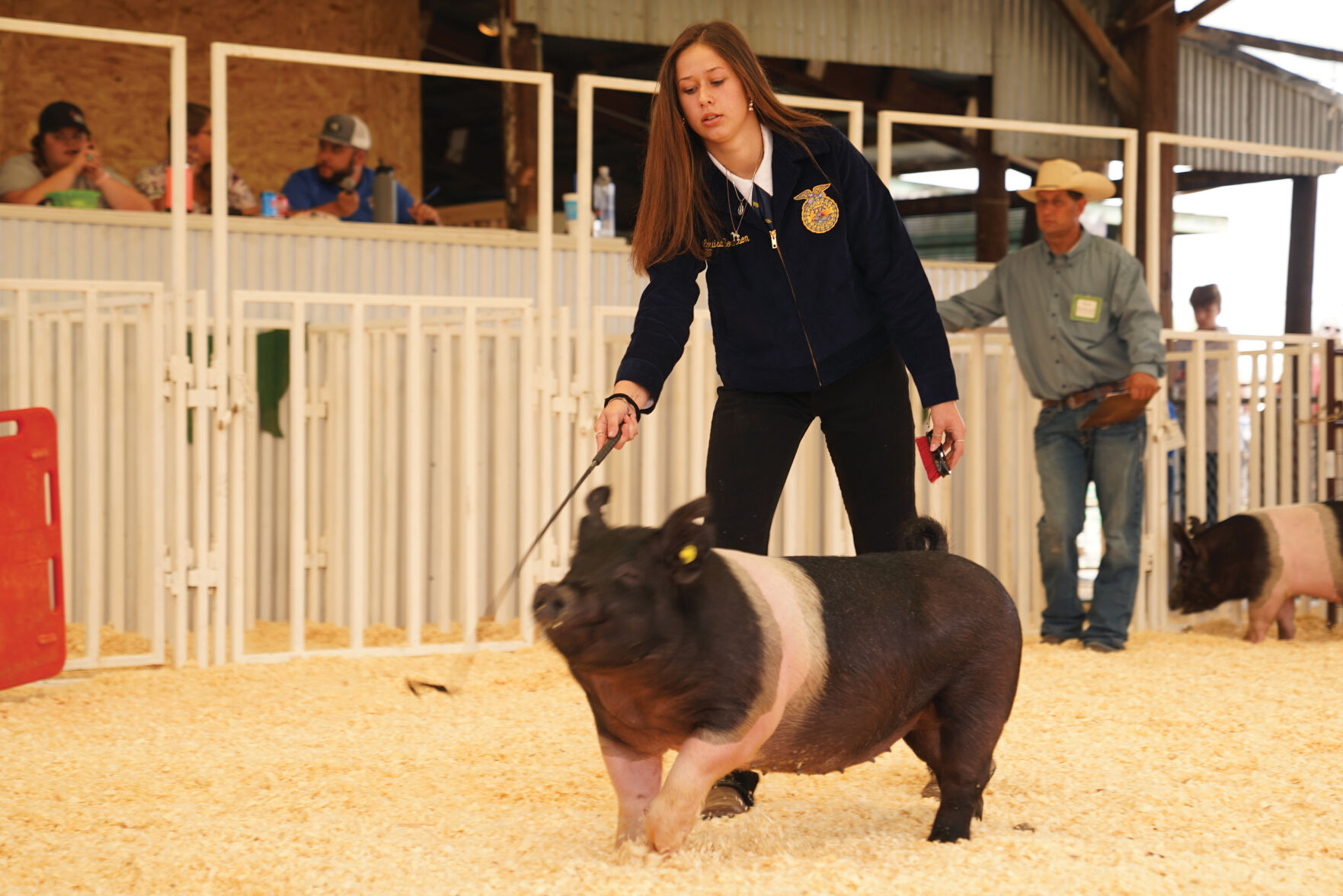 Swine Show Standalones 001.jpg